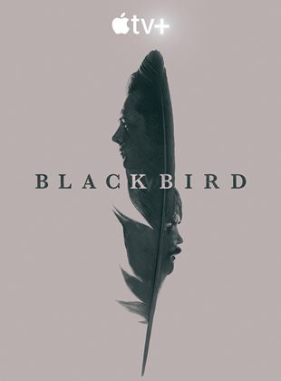 Black Bird saison 1