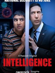 Intelligence Saison 1