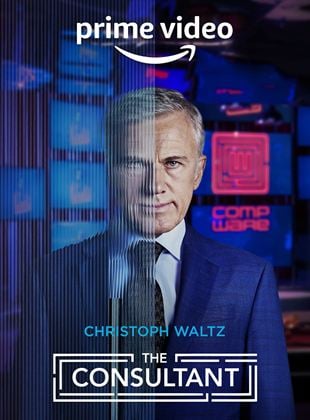 The Consultant saison 1