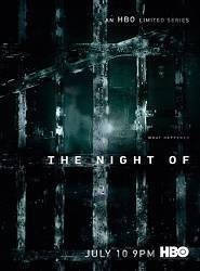 The Night Of saison 1